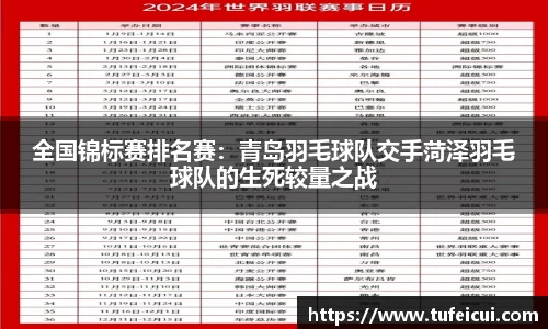 全国锦标赛排名赛：青岛羽毛球队交手菏泽羽毛球队的生死较量之战